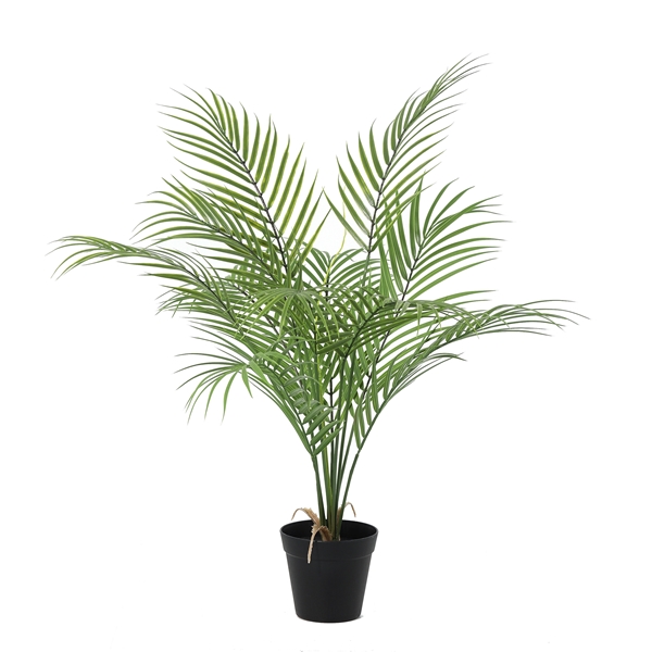 Dirbtinis augalas Howea Forsteriana 13Ø 80cm