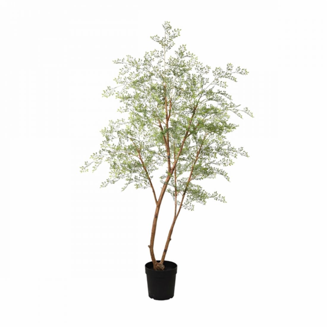 Dirbtinis augalas Cassia tree 23Ø 190cm