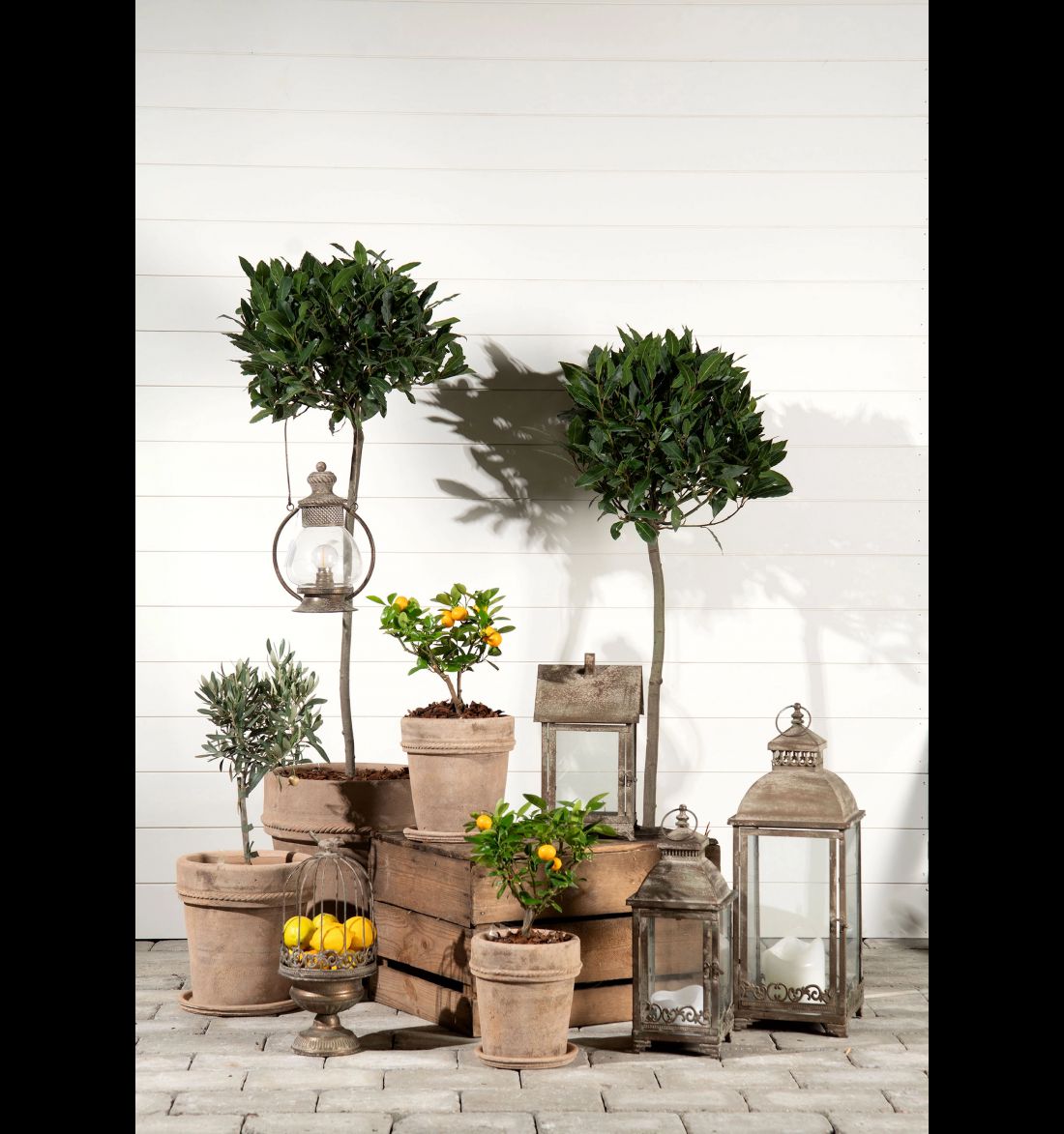 Narvelis metalinis, žalias