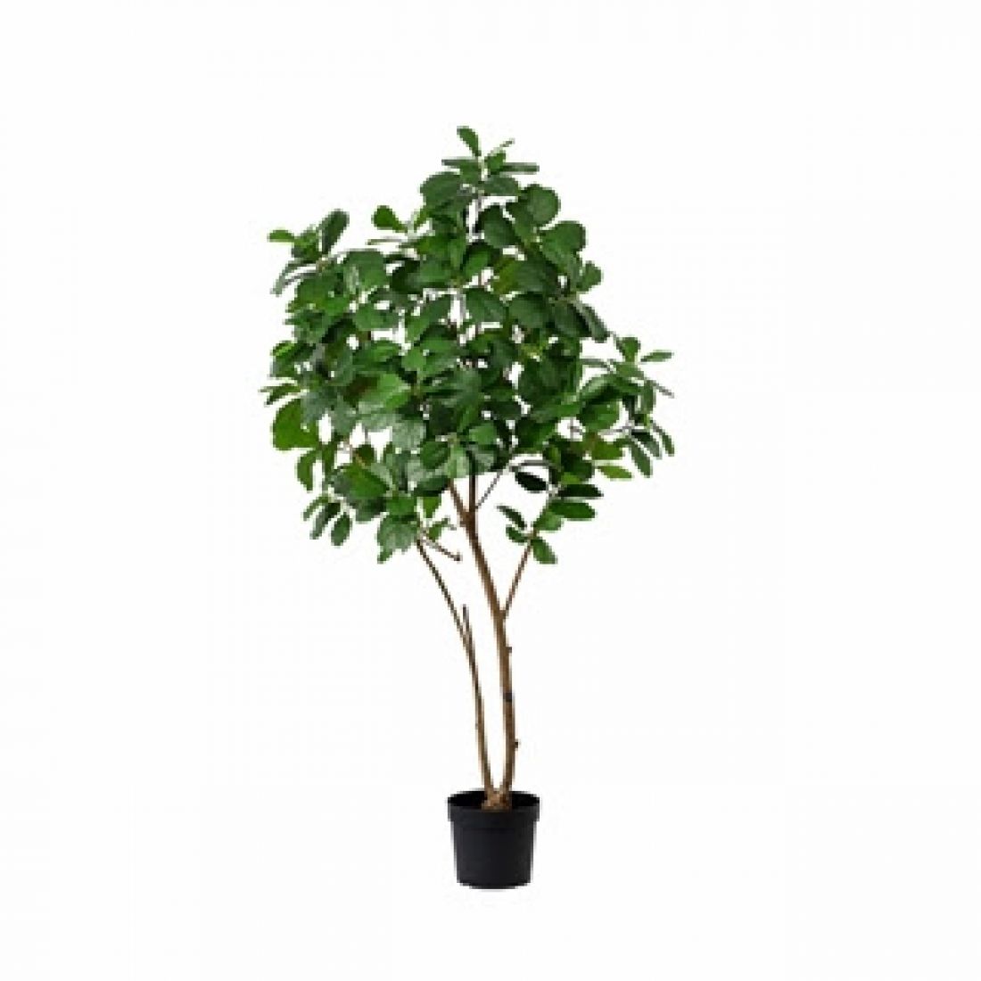 Dirbtinis augalas Ficus Lyrata 23Ø 190cm