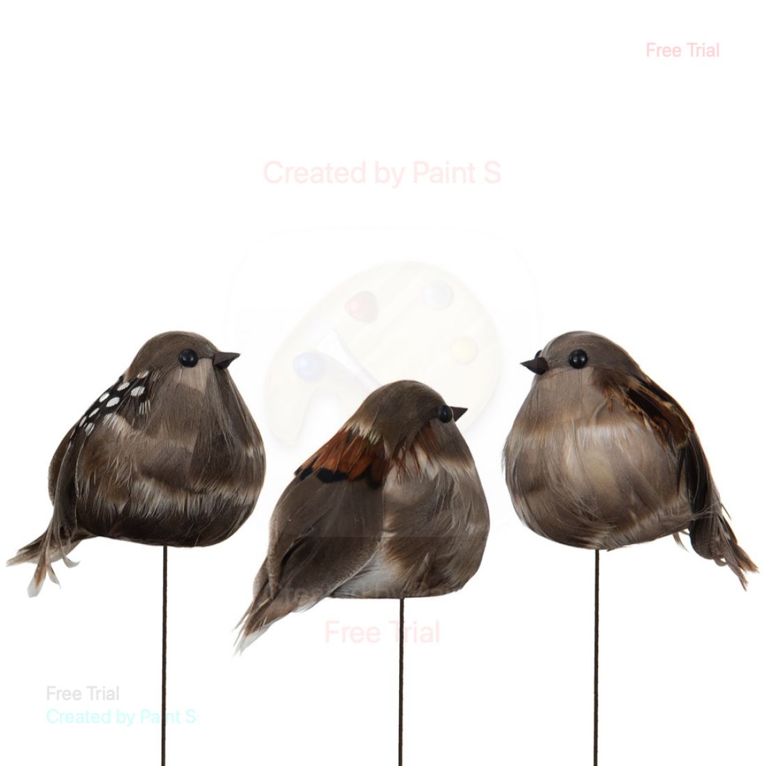 Paukščio pagaliukas