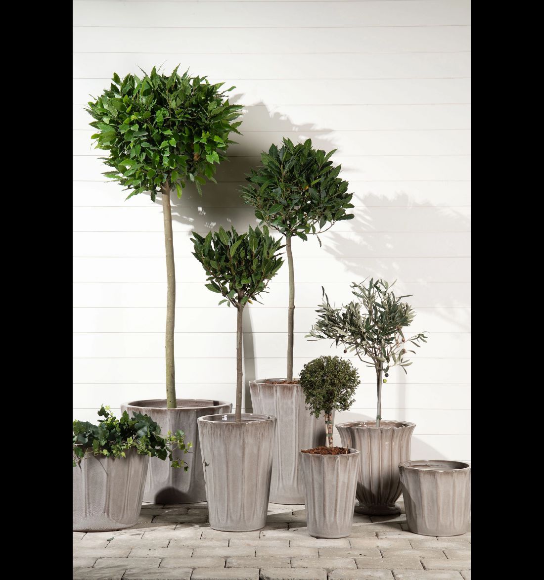 Lauko vazonas Stina Dew