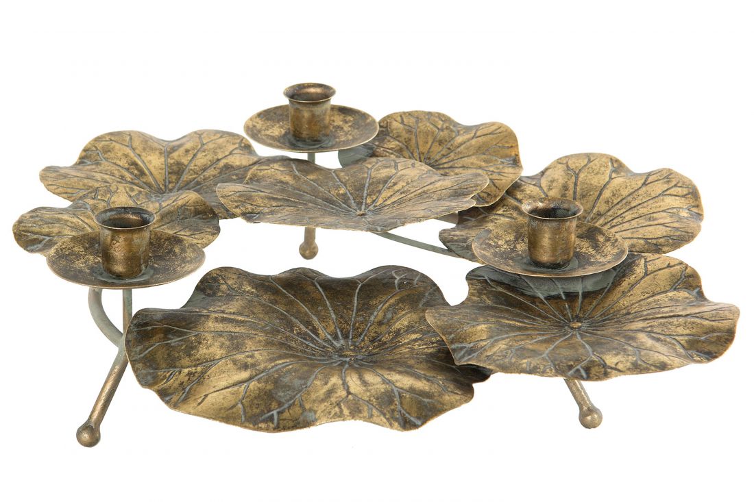 Žvakidė lapas aukso ruda