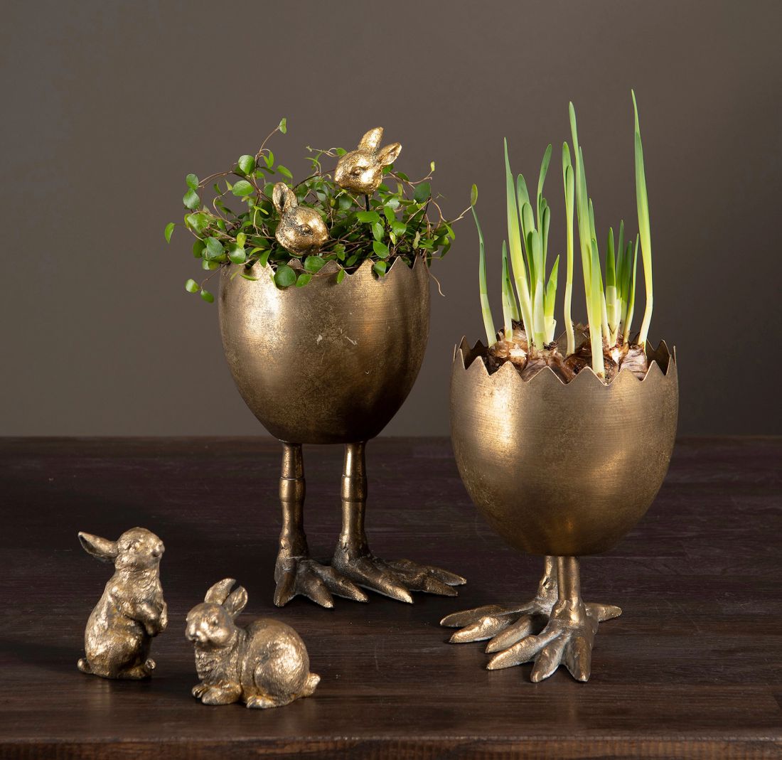 Vazonas kojos / kiaušinis G.Brown