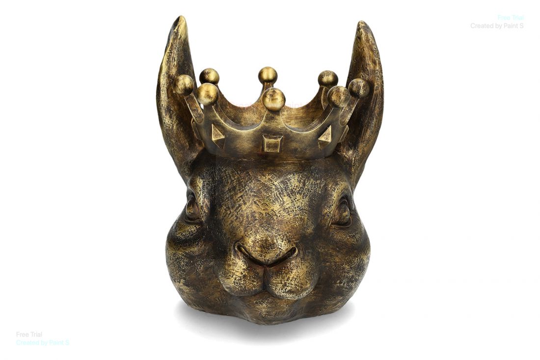 Vazonas triušių karalius