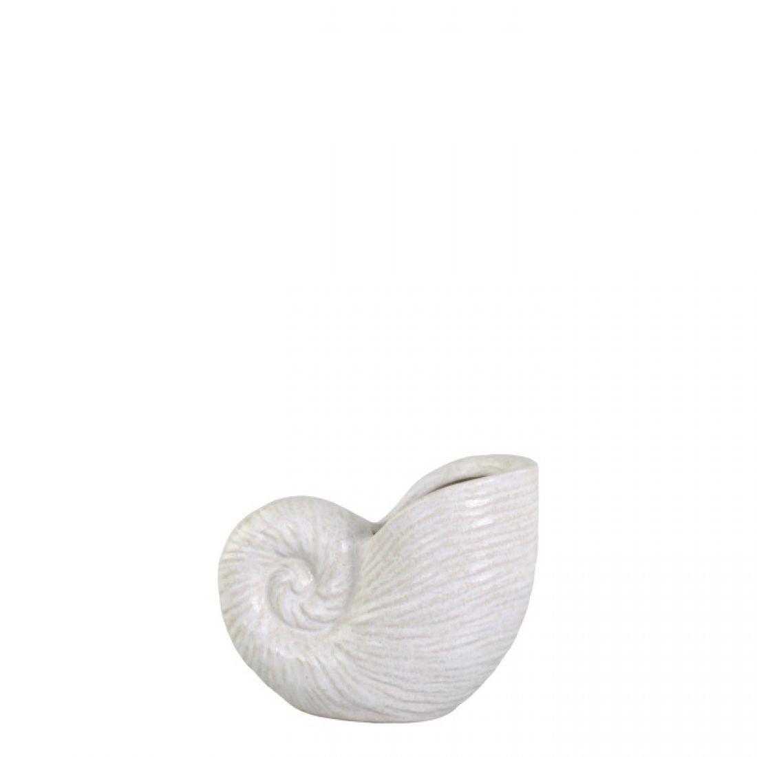 Vaza kriauklė 2 sendinto kremo spalvos