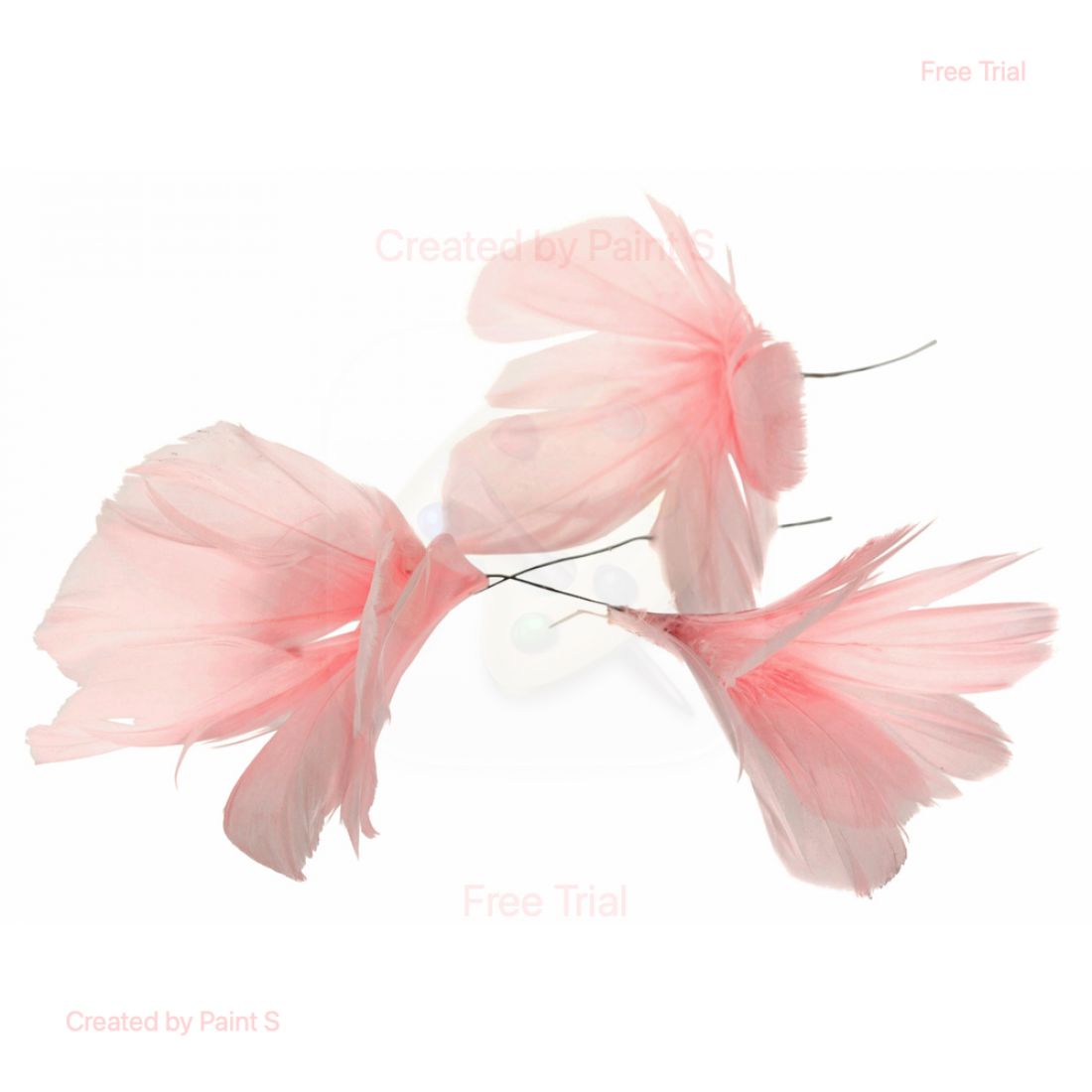 Plunksninė vielinė gėlė šviesiai rožinė