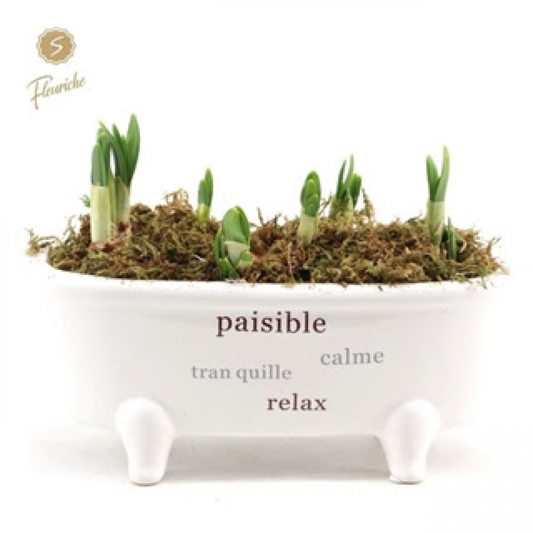 Vonelė su Narcizais