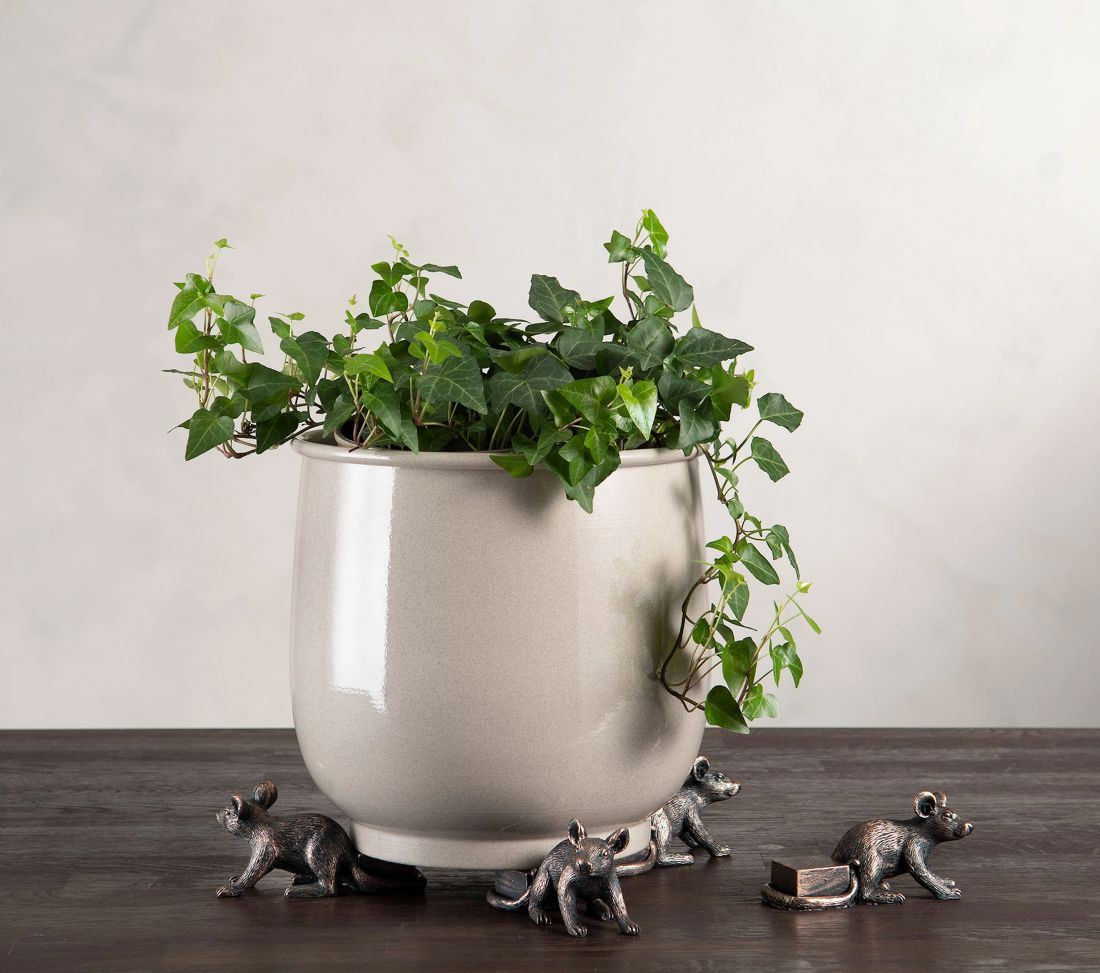 Vazono lsaikiklis pelė