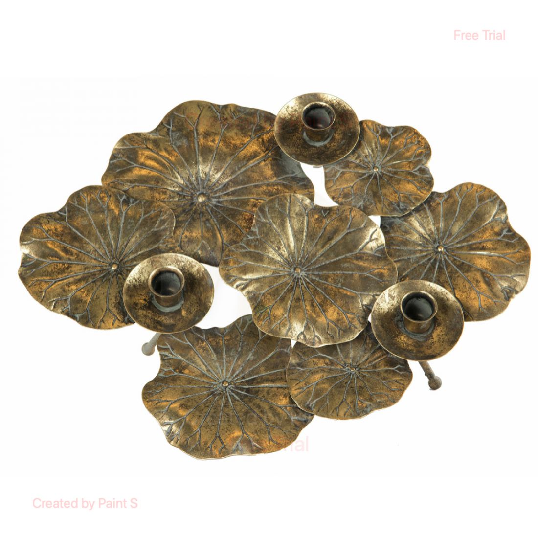 Žvakidė lapas aukso ruda