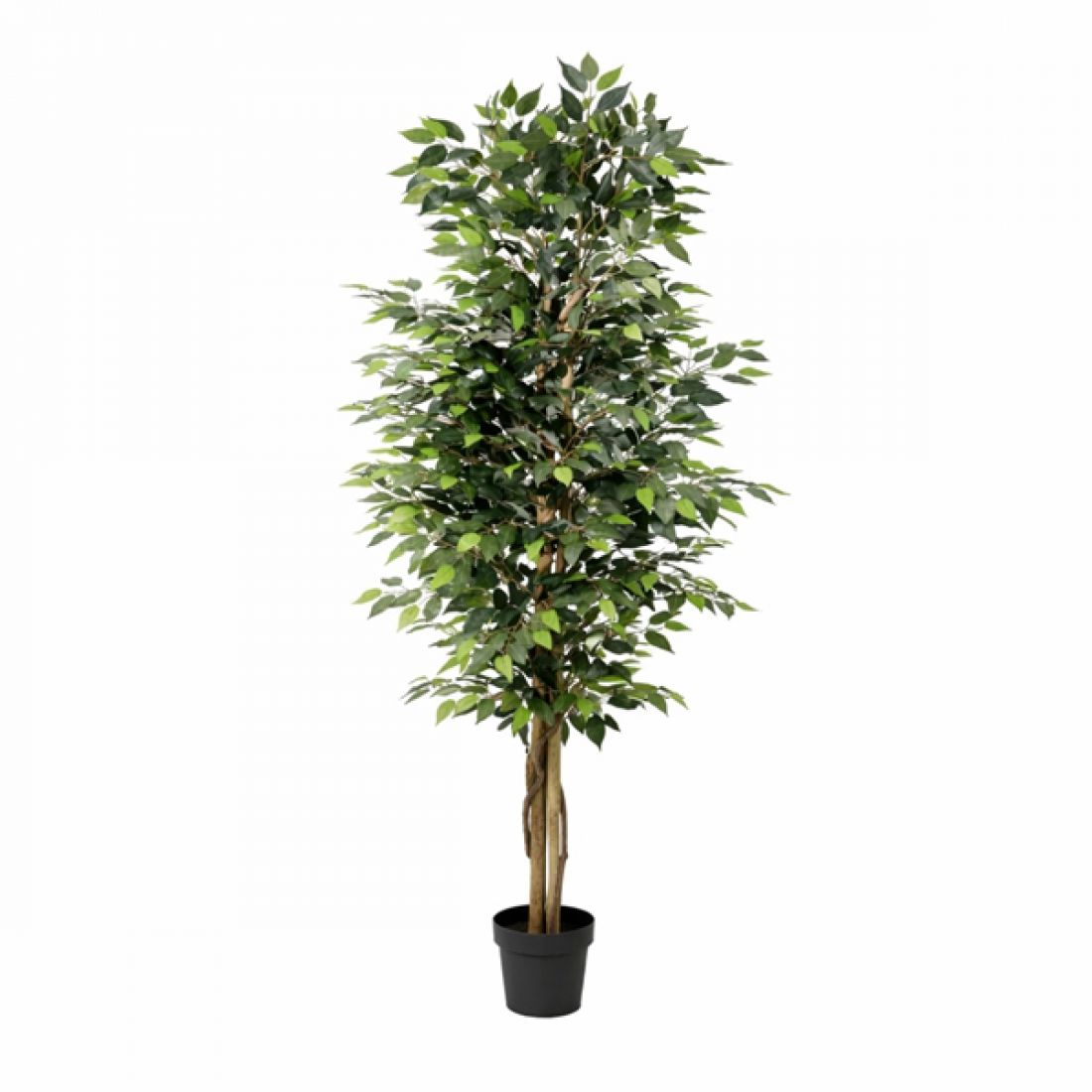 Dirbtinis augalas Ficus Benjamina 21Ø 190cm